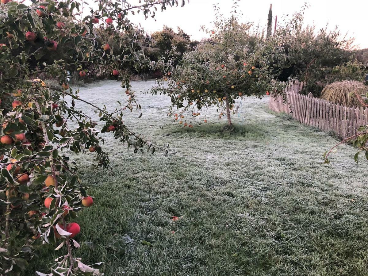فيلا Ty Gylfinir Llandegla المظهر الخارجي الصورة